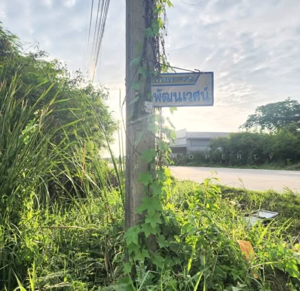 ที่ดินไทรน้อย นนทบุรี, Nonthaburi, Nong Prao Ngai, Sai Noi, Nonthaburi, , 1,600 sqm, Land For Sale, by The Best Property อ้อ, 500502368 - DDproperty.com