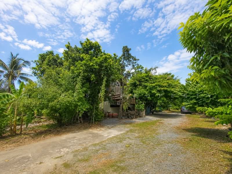 บ้านเดี่ยวพร้อมที่ดินบางซื่อ กรุงเทพมหานคร, กรุงเทพ, บางซื่อ, กรุงเทพ, 150 ตร.ม., บ้านเดี่ยว ขาย, โดย The Best Property ก้อ, 500502375 - DDproperty.com
