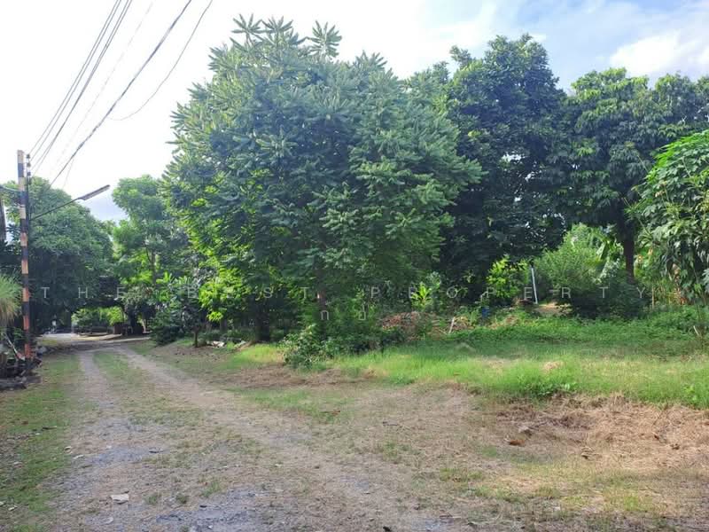 บ้านเดี่ยวพร้อมที่ดินบางซื่อ กรุงเทพมหานคร, กรุงเทพ, บางซื่อ, กรุงเทพ, 150 ตร.ม., บ้านเดี่ยว ขาย, โดย The Best Property ก้อ, 500502375 - DDproperty.com