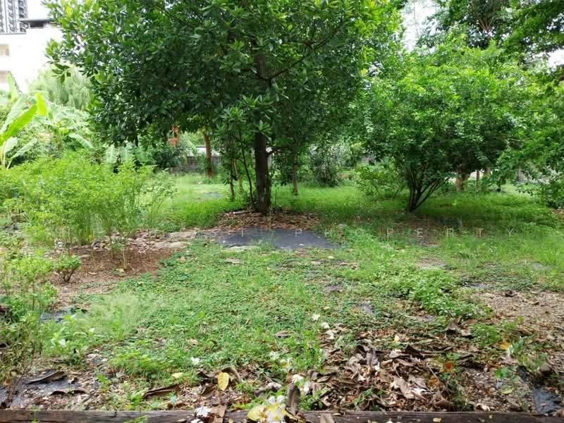 บ้านเดี่ยวพร้อมที่ดินบางซื่อ กรุงเทพมหานคร, กรุงเทพ, บางซื่อ, กรุงเทพ, 150 ตร.ม., บ้านเดี่ยว ขาย, โดย The Best Property ก้อ, 500502375 - DDproperty.com