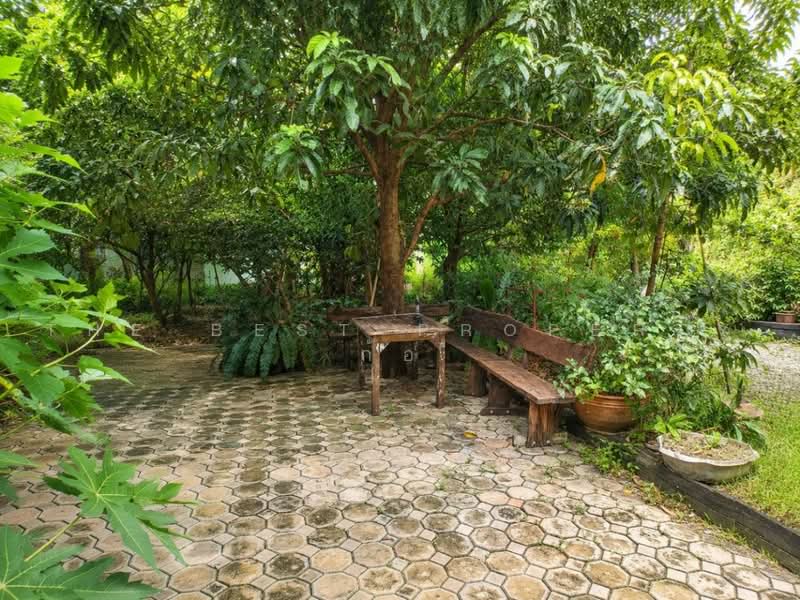 บ้านเดี่ยวพร้อมที่ดินบางซื่อ กรุงเทพมหานคร, กรุงเทพ, บางซื่อ, กรุงเทพ, 150 ตร.ม., บ้านเดี่ยว ขาย, โดย The Best Property ก้อ, 500502375 - DDproperty.com