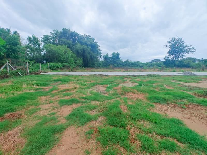 ที่ดินโพธาราม ราชบุรี, Ratchaburi, Ban Khong, Photharam, Ratchaburi, , 15,022 sqm, Land For Sale, by The Best Property ปุ้ยกี้ , 500502377 - DDproperty.com