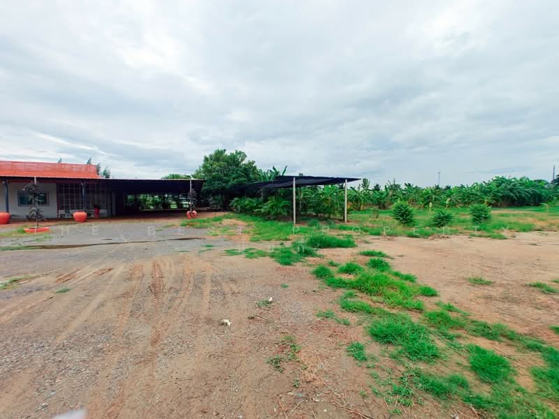 ที่ดินโพธาราม ราชบุรี, ราชบุรี, บ้านฆ้อง, โพธาราม, ราชบุรี, 15,022 ตร.ม., Land ขาย, โดย The Best Property ปุ้ยกี้ , 500502377 - DDproperty.com