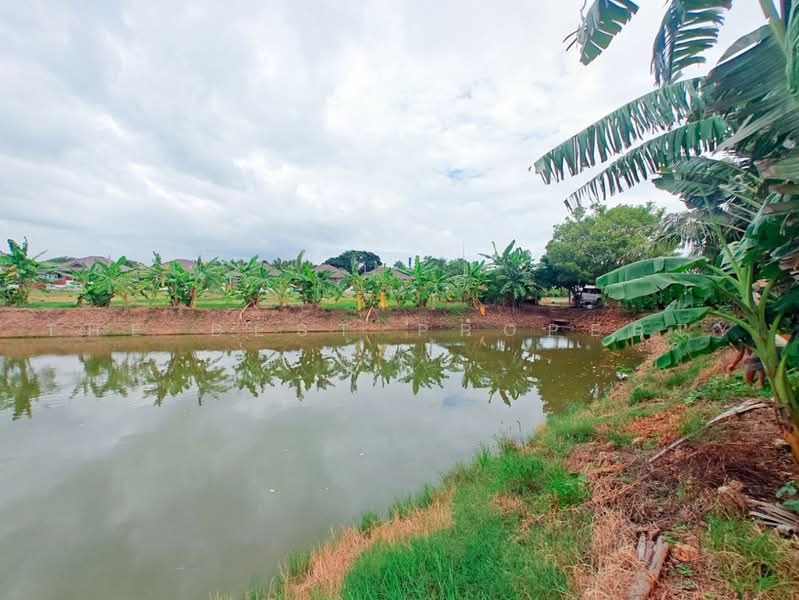 ที่ดินโพธาราม ราชบุรี, Ratchaburi, Ban Khong, Photharam, Ratchaburi, , 15,022 sqm, Land For Sale, by The Best Property ปุ้ยกี้ , 500502377 - DDproperty.com