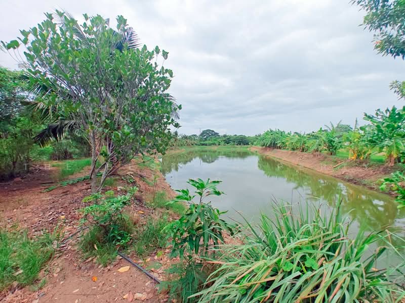 ที่ดินโพธาราม ราชบุรี, Ratchaburi, Ban Khong, Photharam, Ratchaburi, , 15,022 sqm, Land For Sale, by The Best Property ปุ้ยกี้ , 500502377 - DDproperty.com