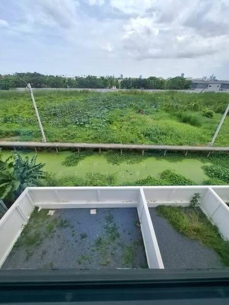 ทาวน์โฮม 3 ชั้น (หลังริม) ถนนเฉลิมพระเกียรติ ร. 9 ซอย 30, Bangkok, Dok Mai, Prawet, Bangkok, 3 Bedrooms, 150 sqm, Townhouse For Sale, by ภัทรนัน อิศรางกูร ณ อยุธยา, 500502401 - DDproperty.com