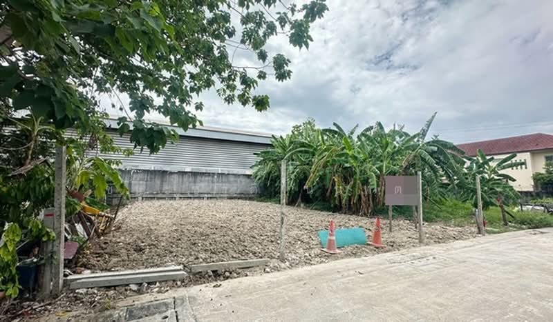 ซอยราชพฤกษ์ 23 (ปากซอยปั๊มปตท), Bangkok, Taling Chan, Bangkok, , 296 sqm, Land For Sale, by ชนะชาติ นนท์ตา, 500502411 - DDproperty.com