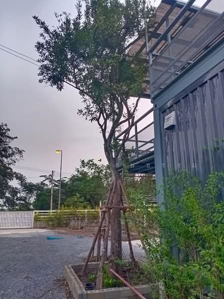 ขายบ้านสวนสไตล์โมเดิร์น 1 ไร่ (400 ตร.ว.) อ.เสนา อยุธยา ติดถนน 2 ด้าน พร้อมระบบโซล่าเซลล์ 5 kW, Phra Nakhon Si Ayutthaya, Sam Ko, Sena, Phra Nakhon Si Ayutthaya, 2 Bedrooms, 400 sqm, Single Detached House For Sale, by กรรณ กัลยธรรม, 500502472 - DDproperty.com