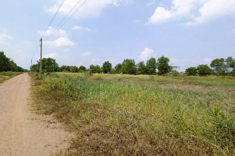 ที่ดินเปล่า ถนนเลียบคลอง 10, Pathum Thani, Bung Ba, Nong Sua, Pathum Thani, , 800 sqm, Land For Sale, by ภัทรนัน อิศรางกูร ณ อยุธยา, 500502473 - DDproperty.com