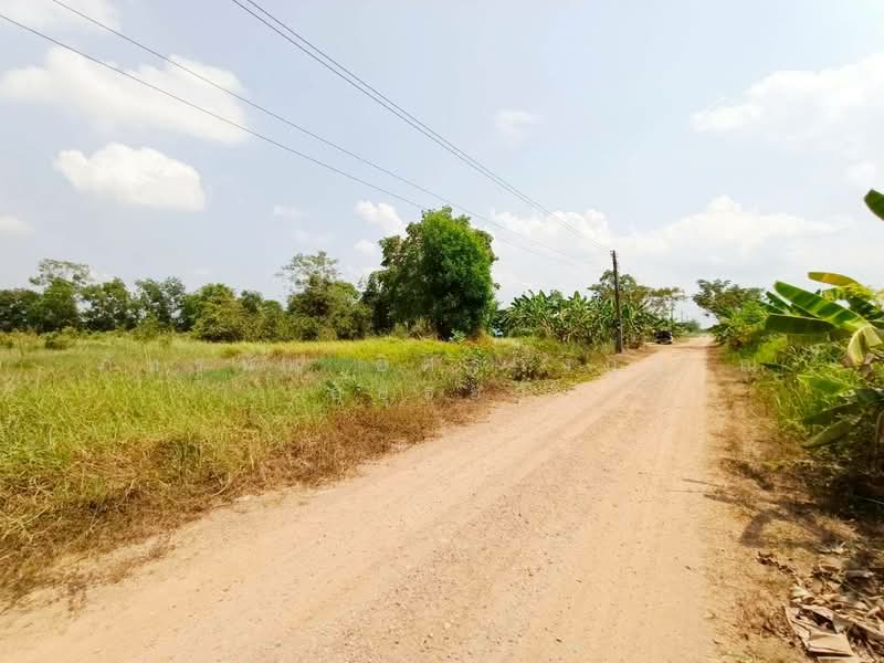 ที่ดินเปล่า ถนนเลียบคลอง 10, Pathum Thani, Bung Ba, Nong Sua, Pathum Thani, , 800 sqm, Land For Sale, by ภัทรนัน อิศรางกูร ณ อยุธยา, 500502473 - DDproperty.com