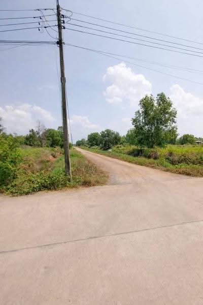 ที่ดินเปล่า ถนนเลียบคลอง 10, Pathum Thani, Bung Ba, Nong Sua, Pathum Thani, , 800 sqm, Land For Sale, by ภัทรนัน อิศรางกูร ณ อยุธยา, 500502473 - DDproperty.com