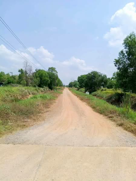 ที่ดินเปล่า ถนนเลียบคลอง 10, ปทุมธานี, บึงบา, หนองเสือ, ปทุมธานี, 800 ตร.ม., ที่ดิน ขาย, โดย ภัทรนัน อิศรางกูร ณ อยุธยา, 500502473 - DDproperty.com