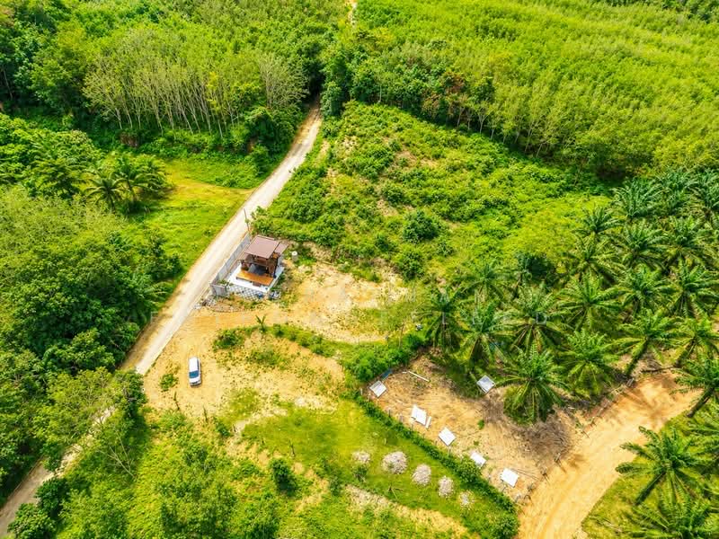 House & Land for Sale in Ao Nang, Krabi, Ao Nang, Muang Krabi, Krabi, 1 Bedroom, 70 sqm, Single Detached House For Sale, by JEERAPHAN FAIPONDEELERD, 500502531 - DDproperty.com