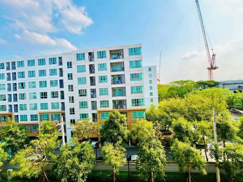 Dcondo Ping, Chiang Mai, 243 Super Highway Road Chiang Mai - Lampang, Fa Ham, Muang Chiang Mai, Chiang Mai, 1 Bedroom, 37 sqm, Condo For Rent, by นิศาชล ใจแปง, 500502639 - DDproperty.com
