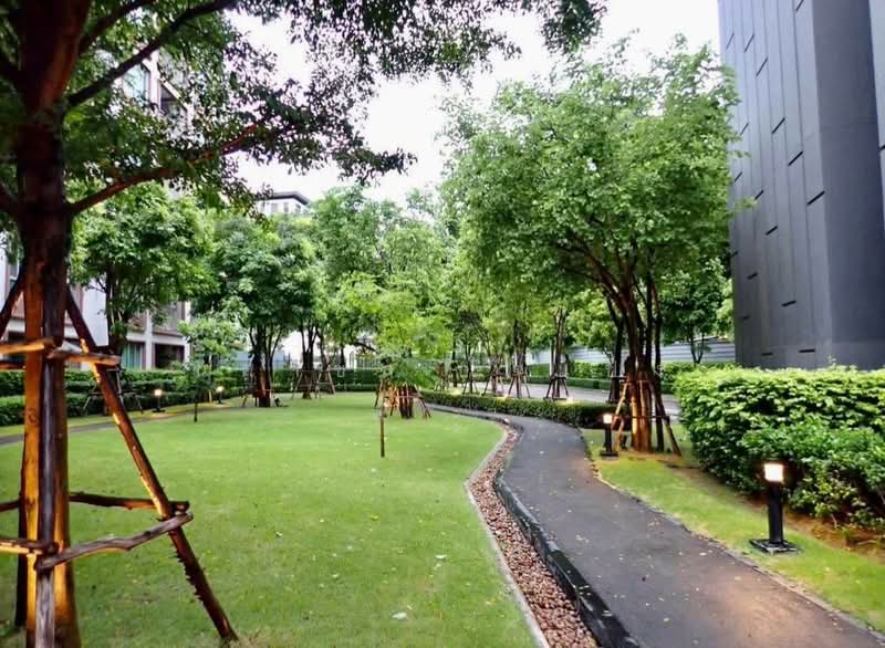 Dcondo Ping : ดีคอนโดพิงค์, เชียงใหม่, 243 ถ. ซุปเปอร์ไฮเวย์ เชียงใหม่-ลำปาง, ฟ้าฮ่าม, เมืองเชียงใหม่, เชียงใหม่, 37 ตร.ม., คอนโด ให้เช่า, โดย นิศาชล ใจแปง, 500502639 - DDproperty.com