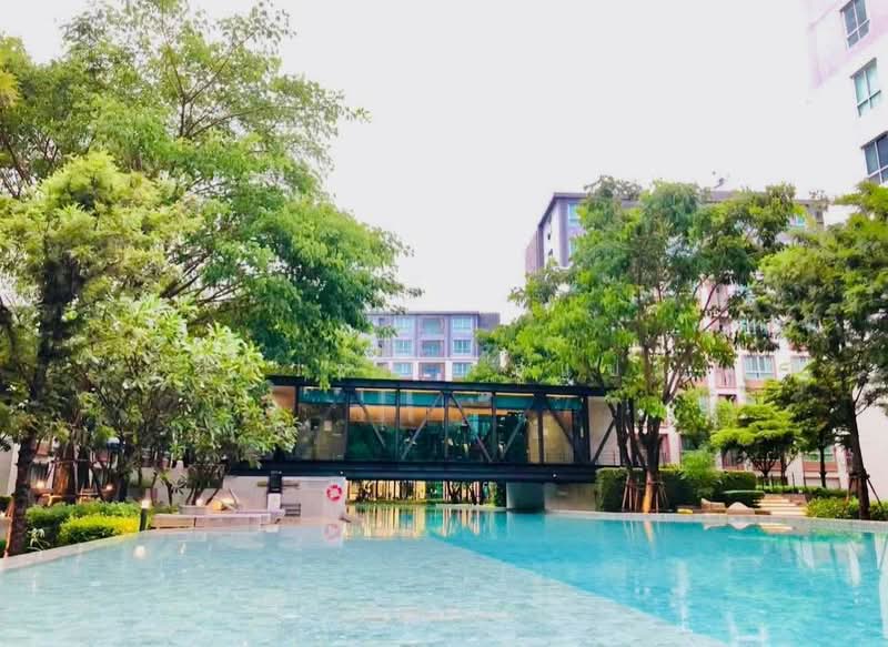 Dcondo Ping, Chiang Mai, 243 Super Highway Road Chiang Mai - Lampang, Fa Ham, Muang Chiang Mai, Chiang Mai, 1 Bedroom, 37 sqm, Condo For Rent, by นิศาชล ใจแปง, 500502639 - DDproperty.com