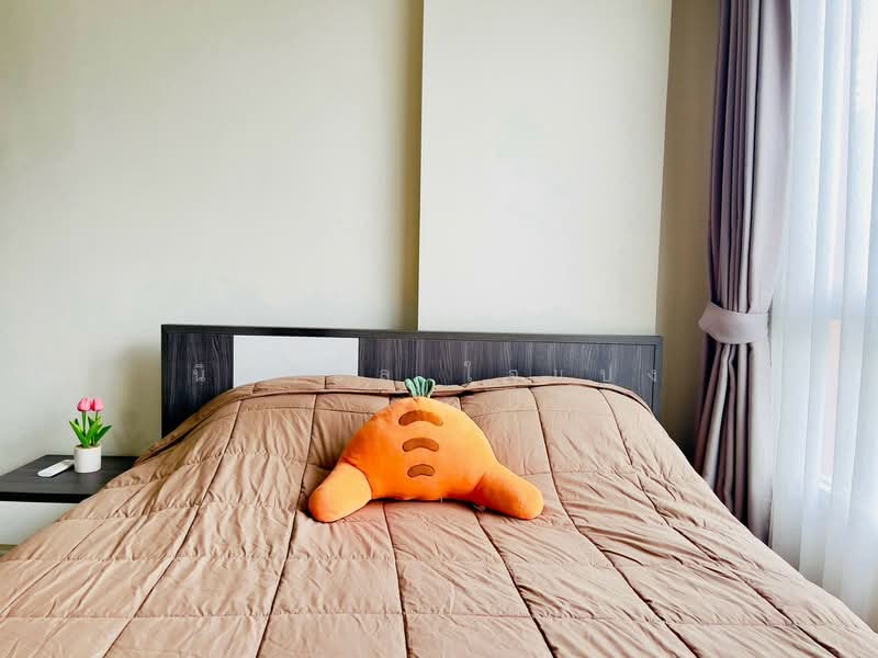 Dcondo Ping, Chiang Mai, 243 Super Highway Road Chiang Mai - Lampang, Fa Ham, Muang Chiang Mai, Chiang Mai, 1 Bedroom, 37 sqm, Condo For Rent, by นิศาชล ใจแปง, 500502639 - DDproperty.com