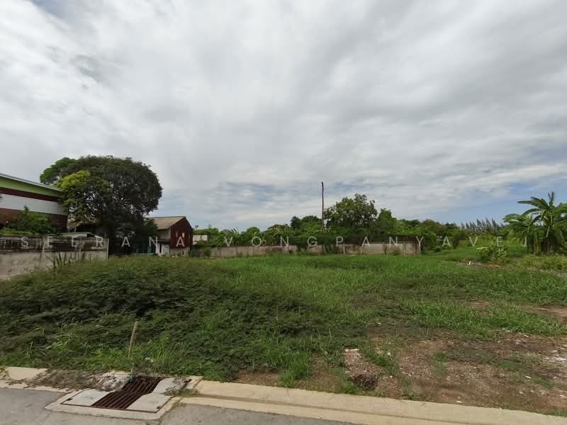 ที่ดินเปล่า ซ.เอกชัย 133 แขวงบางบอนใต้ เขตบางบอน, Bangkok, เอกชัย, Bang Bon, Bangkok, , 1,608 sqm, Land For Sale, by Seerana Vongpanyavej, 500502719 - DDproperty.com