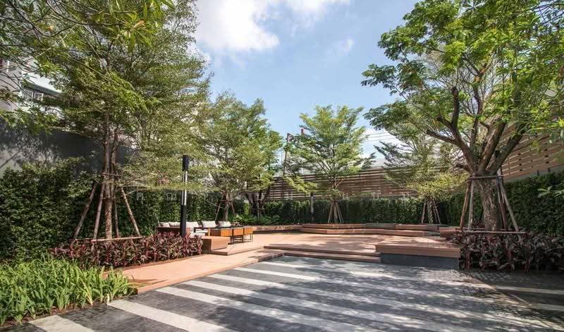 Life Sukhumvit 48 : ไลฟ์ สุขุมวิท 48, กรุงเทพ, ซอยสุขุมวิท 48, พระโขนง, คลองเตย, กรุงเทพ, 34 ตร.ม., คอนโด ให้เช่า, โดย คุณ แบม แบม, 500502720 - DDproperty.com