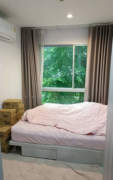 The Kith Plus Sukhumvit 113, Samut Prakan, Sukhumvit 113 Road, Samrong Nua, Muang Samut Prakarn, Samut Prakan, 1 Bedroom, 28 sqm, Condo For Rent, by Chawich Jeamsakon, 500502783 - DDproperty.com