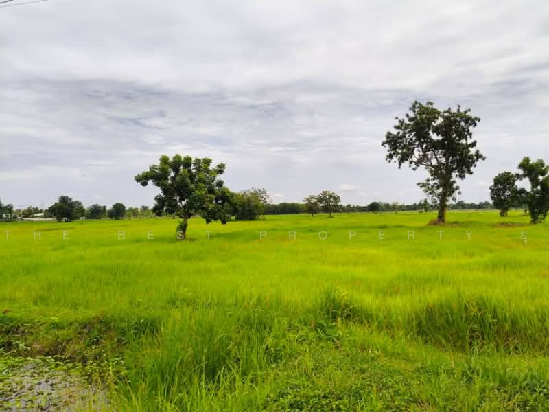 ที่ดินประโคนชัย บุรีรัมย์, Buri Ram, Tako Ta Phi, Prakhon Chai, Buri Ram, , 35,876 sqm, Land For Sale, by The Best Property ยุ, 500502799 - DDproperty.com