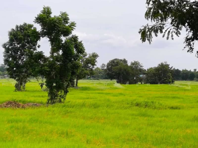 ที่ดินประโคนชัย บุรีรัมย์, Buri Ram, Tako Ta Phi, Prakhon Chai, Buri Ram, , 35,876 sqm, Land For Sale, by The Best Property ยุ, 500502799 - DDproperty.com