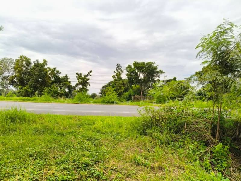 ที่ดินประโคนชัย บุรีรัมย์, Buri Ram, Tako Ta Phi, Prakhon Chai, Buri Ram, , 35,876 sqm, Land For Sale, by The Best Property ยุ, 500502799 - DDproperty.com