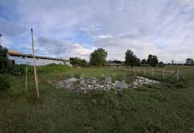 ขาย - ที่ดินเหมืองจี้ ลำพูน, ลำพูน