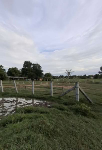 ที่ดินเหมืองจี้ ลำพูน, ลำพูน, เหมืองจี้, เมืองลำพูน, ลำพูน, 412 ตร.ม., ที่ดิน ขาย, โดย The Best Property รัตน์, 500502801 - DDproperty.com