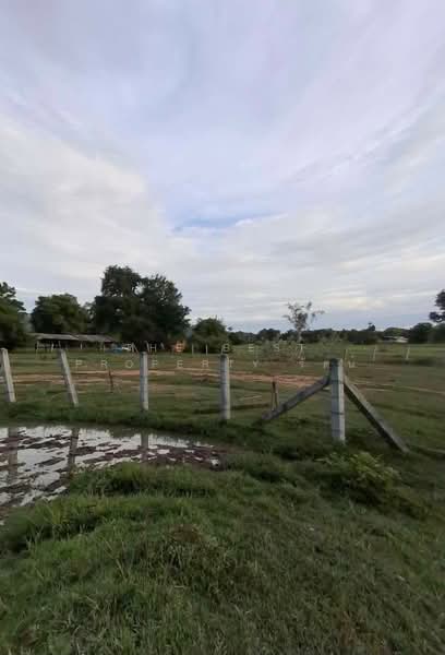 ที่ดินเหมืองจี้ ลำพูน, Lamphun, Muang Chi, Muang Lamphun, Lamphun, , 412 sqm, Land For Sale, by The Best Property รัตน์, 500502801 - DDproperty.com