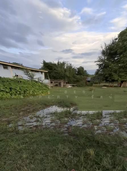 ที่ดินเหมืองจี้ ลำพูน, Lamphun, Muang Chi, Muang Lamphun, Lamphun, , 412 sqm, Land For Sale, by The Best Property รัตน์, 500502801 - DDproperty.com