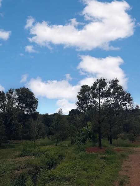 ที่ดินสอยดาว จันทบุรี, Chanthaburi, Sai Khao, Soydow, Chanthaburi, , 74,020 sqm, Land For Sale, by The Best Property แต้ว, 500502807 - DDproperty.com