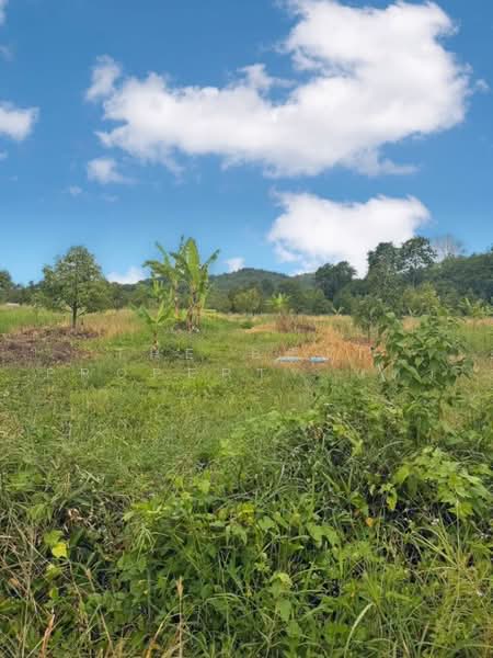 ที่ดินสอยดาว จันทบุรี, Chanthaburi, Sai Khao, Soydow, Chanthaburi, , 74,020 sqm, Land For Sale, by The Best Property แต้ว, 500502807 - DDproperty.com