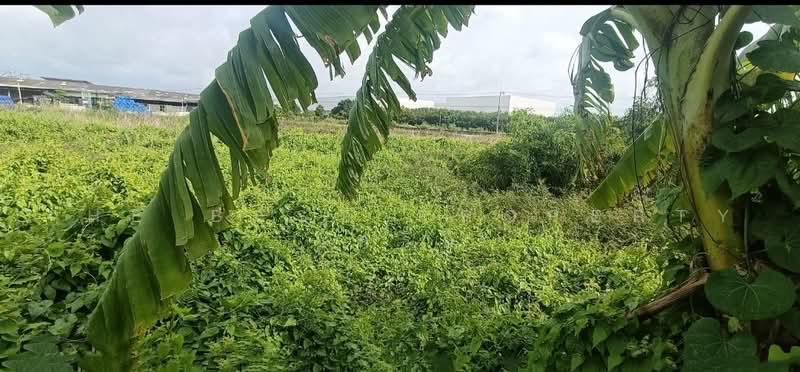 ที่ดินคลองเปรง ฉะเชิงเทรา, Chachoengsao, Khlong Preng, Muang Chachoengsao, Chachoengsao, , 358 sqm, Land For Sale, by The Best Property เครือ, 500502808 - DDproperty.com