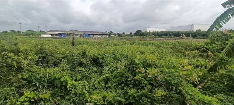 ที่ดินคลองเปรง ฉะเชิงเทรา, Chachoengsao, Khlong Preng, Muang Chachoengsao, Chachoengsao, , 358 sqm, Land For Sale, by The Best Property เครือ, 500502808 - DDproperty.com