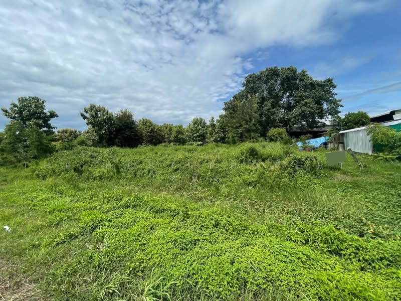 ที่ดินกล้วยแพะ ลำปาง, Lampang, Klui Phae, Muang Lampang, Lampang, , 620 sqm, Land For Sale, by The Best Property หนิง, 500502810 - DDproperty.com