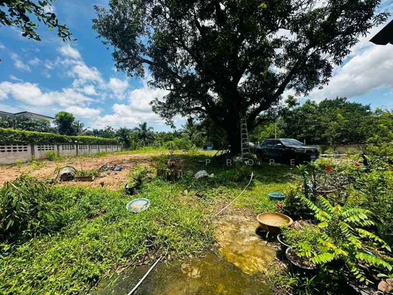 บ้านเดี่ยวพนัสนิคม ชลบุรี, Chon Buri (Pattaya), Nong Hiang, Phanat Nikhom, Chon Buri (Pattaya), 1 Bedroom, 150 sqm, Single Detached House For Sale, by The Best Property มิน, 500502815 - DDproperty.com