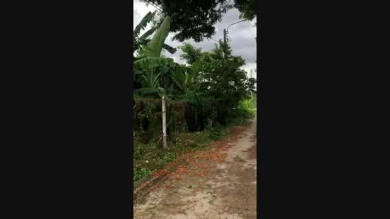 ที่ดินรามคำแหง160, Bangkok, Rat Phatthana, Saphan Sung, Bangkok, , 308 sqm, Land For Sale, by อภิชัย ลิ้มไชยโรจน์, 500502878 - DDproperty.com