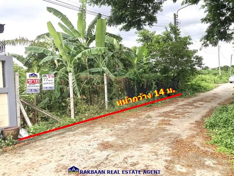 ที่ดินรามคำแหง160, Bangkok, Rat Phatthana, Saphan Sung, Bangkok, , 308 sqm, Land For Sale, by อภิชัย ลิ้มไชยโรจน์, 500502878 - DDproperty.com