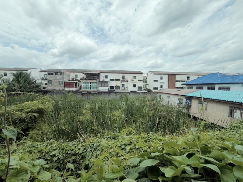 Areeya The Colors 2 Kaset - Navamintra, Bangkok, Areeya The Color 2 Soi 6, Chorake Bua, Lat Phrao, Bangkok, 3 Bedrooms, 160 sqm, Townhouse For Sale, by Ashiraya Suwannin, 500502926 - DDproperty.com