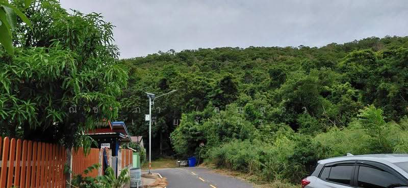 สัตหีบ ตำบลสัตหีบ อำเภอสัตหีบ จังหวัดชลบุรี, Chon Buri (Pattaya), Sattahip, Chon Buri (Pattaya), , 1,200 sqm, Land For Sale, by Nichapa Phiachan, 500502982 - DDproperty.com