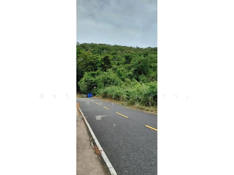 สัตหีบ ตำบลสัตหีบ อำเภอสัตหีบ จังหวัดชลบุรี, Chon Buri (Pattaya), Sattahip, Chon Buri (Pattaya), , 1,200 sqm, Land For Sale, by Nichapa Phiachan, 500502982 - DDproperty.com