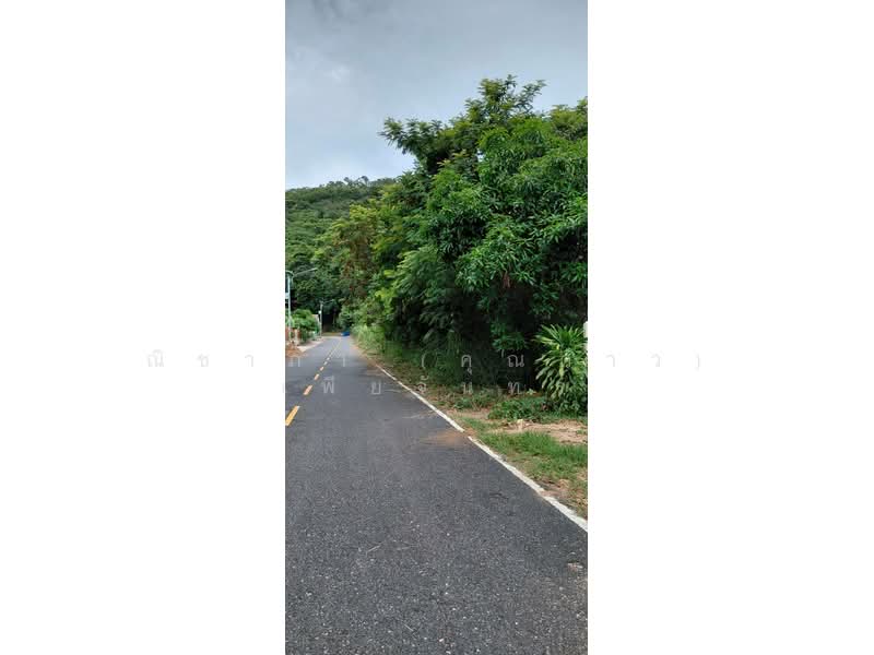 สัตหีบ ตำบลสัตหีบ อำเภอสัตหีบ จังหวัดชลบุรี, Chon Buri (Pattaya), Sattahip, Chon Buri (Pattaya), , 1,200 sqm, Land For Sale, by Nichapa Phiachan, 500502982 - DDproperty.com