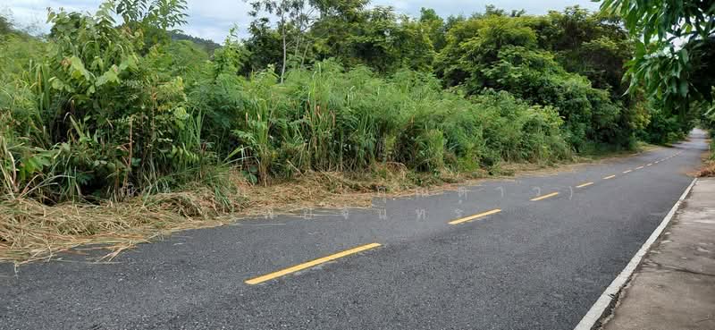 สัตหีบ ตำบลสัตหีบ อำเภอสัตหีบ จังหวัดชลบุรี, Chon Buri (Pattaya), Sattahip, Chon Buri (Pattaya), , 1,200 sqm, Land For Sale, by Nichapa Phiachan, 500502982 - DDproperty.com
