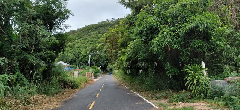สัตหีบ ตำบลสัตหีบ อำเภอสัตหีบ จังหวัดชลบุรี, Chon Buri (Pattaya), Sattahip, Chon Buri (Pattaya), , 1,200 sqm, Land For Sale, by Nichapa Phiachan, 500502982 - DDproperty.com