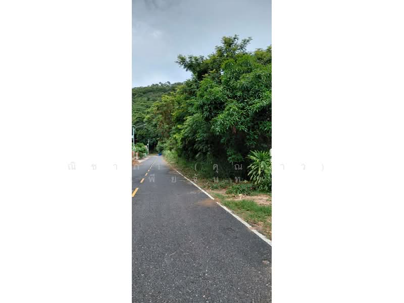 สัตหีบ ตำบลสัตหีบ อำเภอสัตหีบ จังหวัดชลบุรี, Chon Buri (Pattaya), Sattahip, Chon Buri (Pattaya), , 1,200 sqm, Land For Sale, by Nichapa Phiachan, 500502982 - DDproperty.com