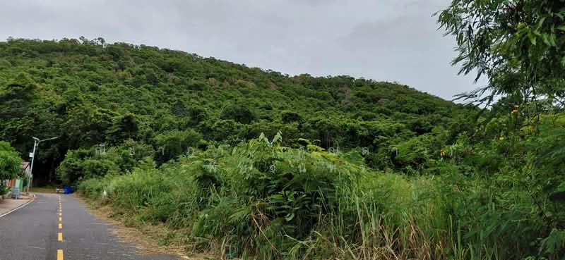 สัตหีบ ตำบลสัตหีบ อำเภอสัตหีบ จังหวัดชลบุรี, Chon Buri (Pattaya), Sattahip, Chon Buri (Pattaya), , 1,200 sqm, Land For Sale, by Nichapa Phiachan, 500502982 - DDproperty.com