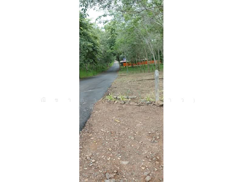 สัตหีบ ตำบลสัตหีบ อำเภอสัตหีบ จังหวัดชลบุรี, Chon Buri (Pattaya), Sattahip, Chon Buri (Pattaya), , 1,416 sqm, Land For Sale, by Nichapa Phiachan, 500502984 - DDproperty.com
