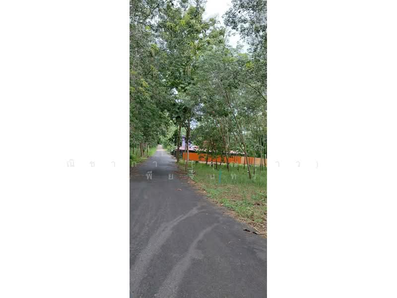 สัตหีบ ตำบลสัตหีบ อำเภอสัตหีบ จังหวัดชลบุรี, Chon Buri (Pattaya), Sattahip, Chon Buri (Pattaya), , 1,416 sqm, Land For Sale, by Nichapa Phiachan, 500502984 - DDproperty.com