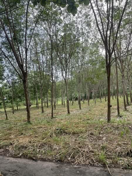 สัตหีบ ตำบลสัตหีบ อำเภอสัตหีบ จังหวัดชลบุรี, Chon Buri (Pattaya), Sattahip, Chon Buri (Pattaya), , 1,416 sqm, Land For Sale, by Nichapa Phiachan, 500502984 - DDproperty.com